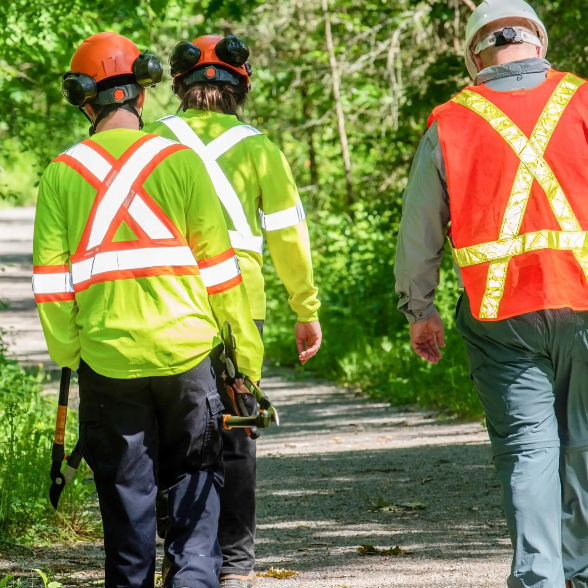 Volunteers wearing PPE working in the county forest. 